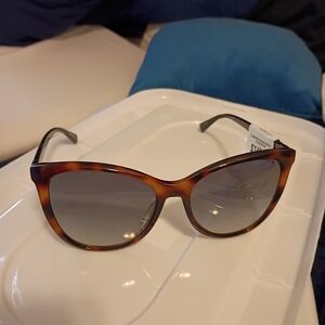 Longchamp Brown Gradient Sunglasses